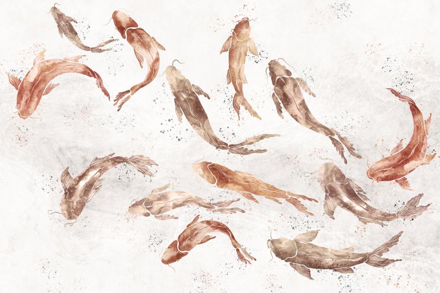 Product visualisation