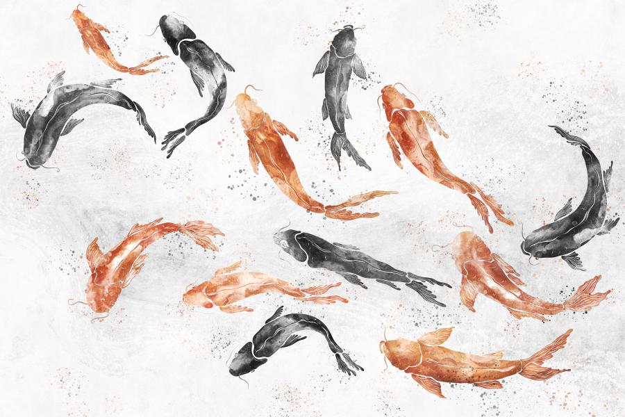 Product visualisation