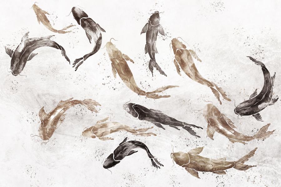 Product visualisation