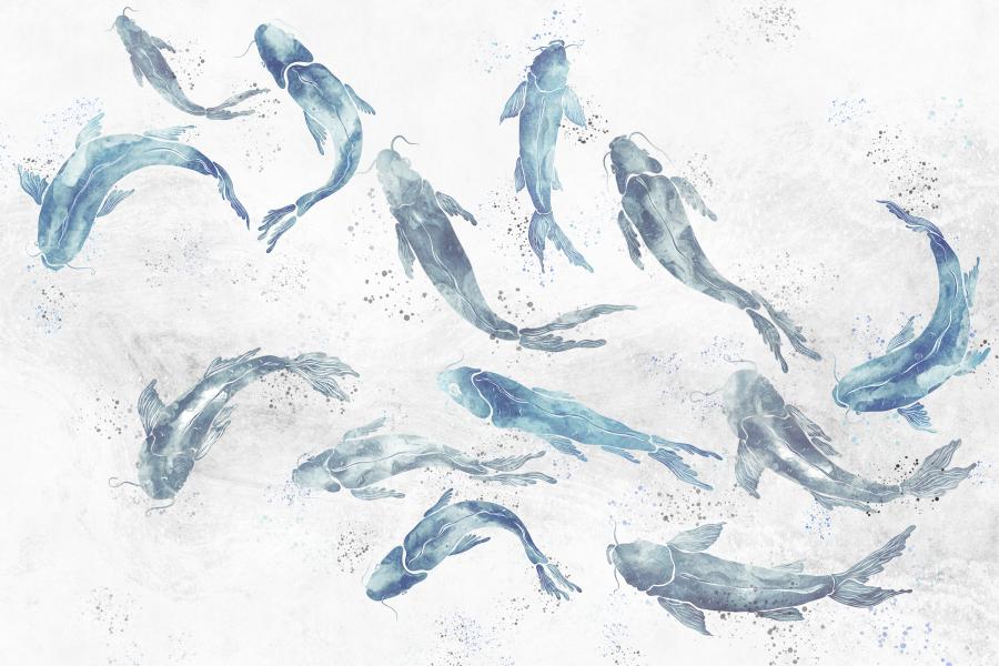 Product visualisation