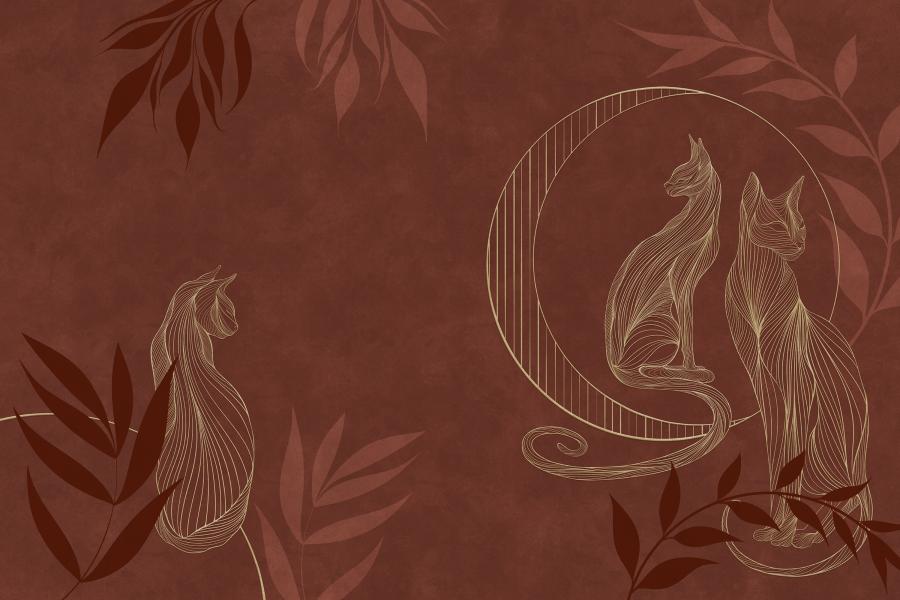 Product visualisation