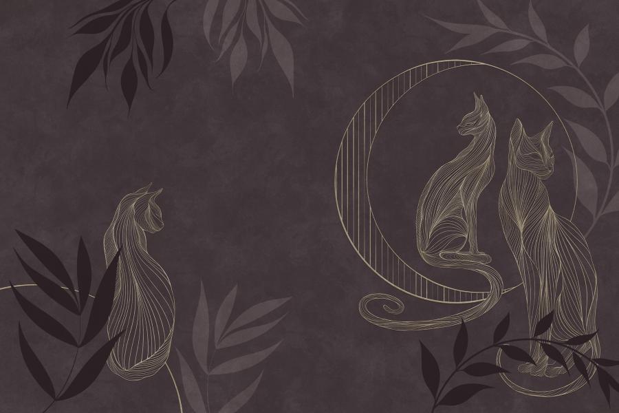 Product visualisation