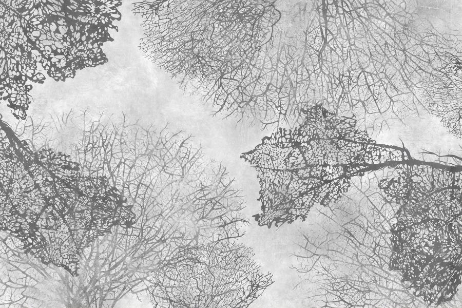 Product visualisation