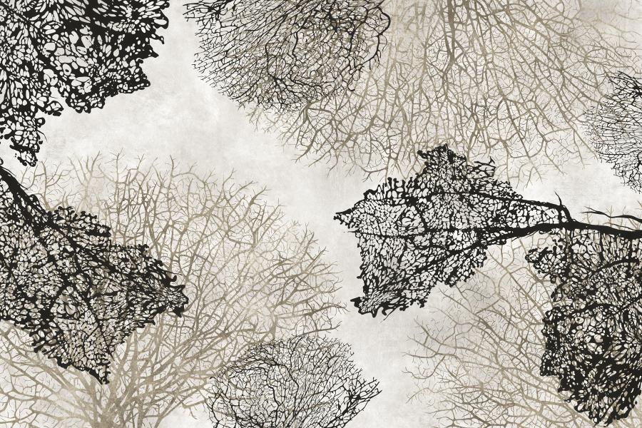 Product visualisation