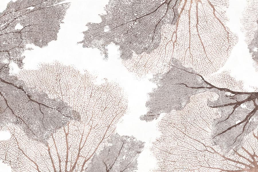 Product visualisation