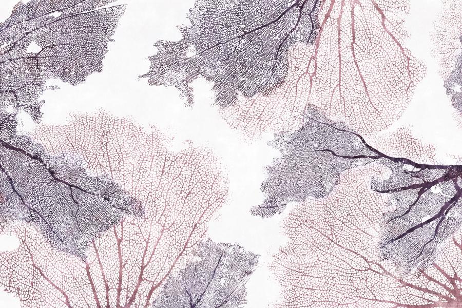 Product visualisation