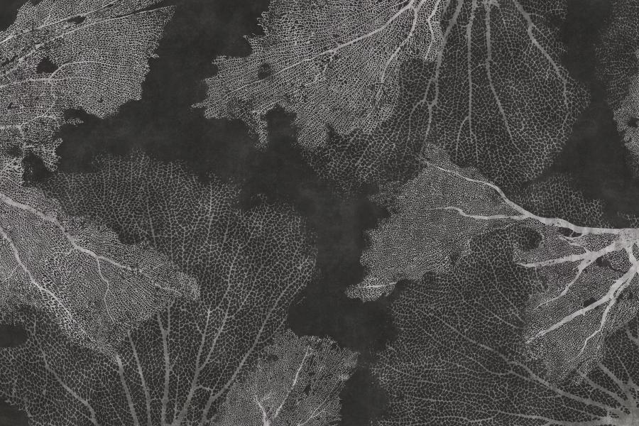 Product visualisation